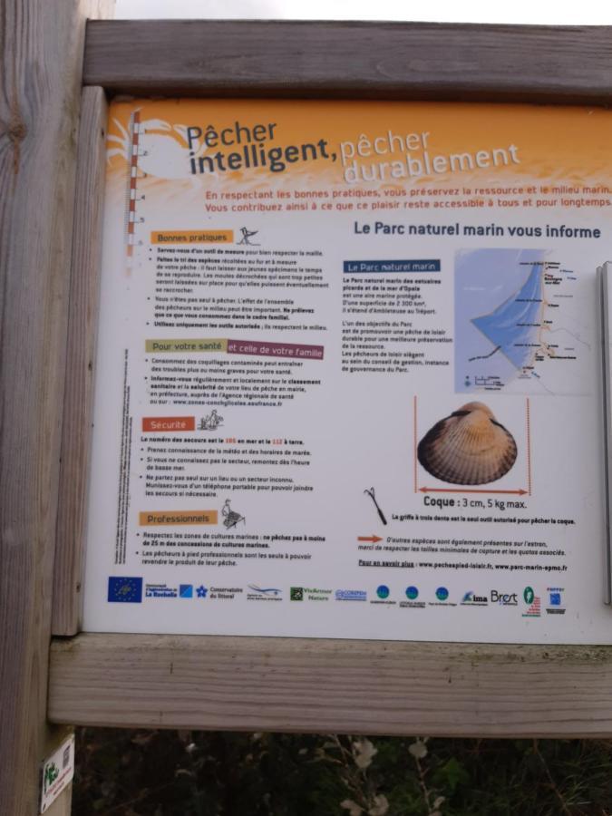 Les Obiones: Beachfront With Sea View In Mahon * Fort-Mahon-Plage